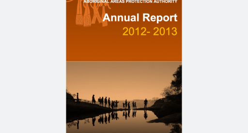 Annual report 2012-2013