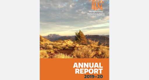 Annual report 19-20