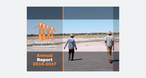 Annual report 16-17