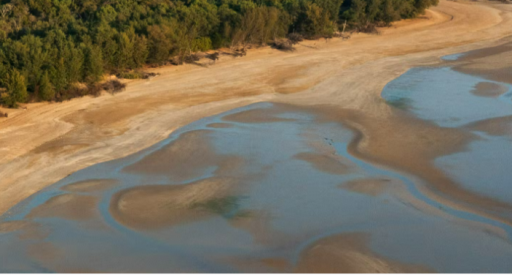 Image of Casuarina Coastal Reserve used by NTG during publlic consultation
