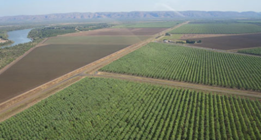 Aerial view of irrigated agriculture